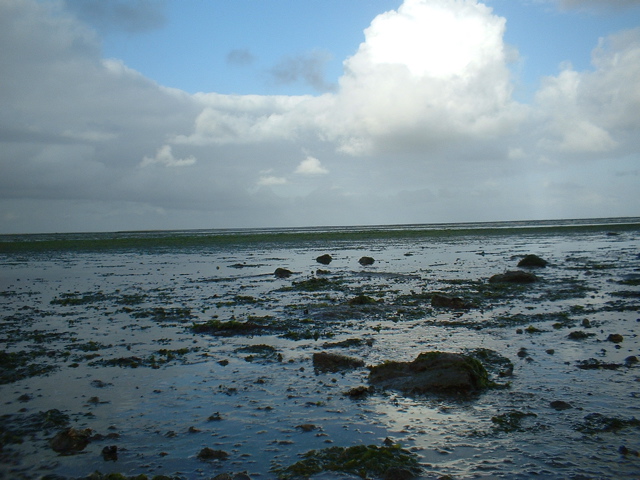 The Wadden Sea (Texel)