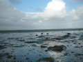 The Wadden Sea (Texel)