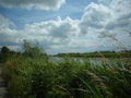 Zouweboezem near Ameide