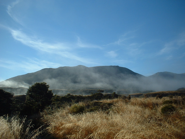 Gouland Down (Heaphy Track)