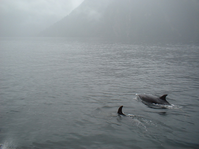 Milford Sound