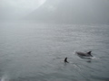 Milford Sound